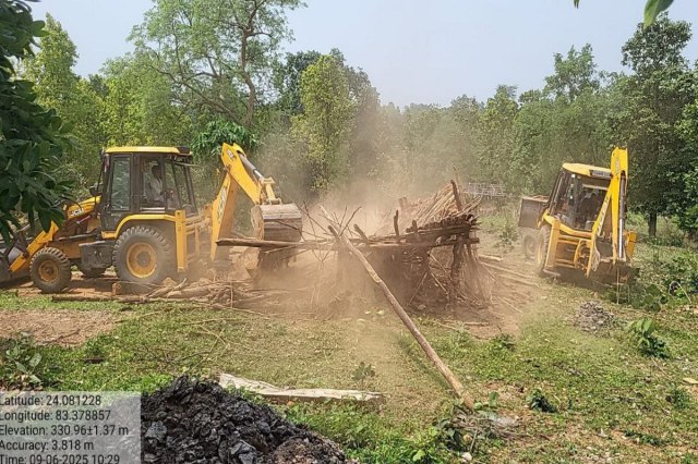 Bulldozer action on forest land