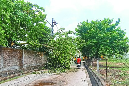 Chhindwara pick