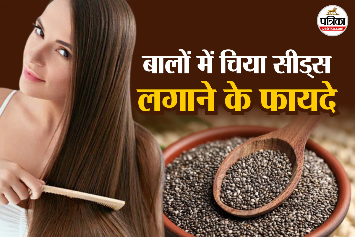 Chia Seeds for Hair Fall: बालों के झड़ने से परेशान हैं तो इन तरीकों से करें चिया
सीड्स का इस्तेमाल, जानिए इसके फायदे