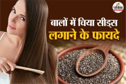Chia Seeds for Hair Fall: बालों के झड़ने से परेशान हैं तो इन तरीकों से करें चिया
सीड्स का इस्तेमाल, जानिए इसके फायदे - image