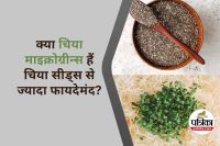 Chia seeds vs Chia Microgreens