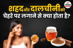Honey And Cinnamon On Face: रात को शहद और दारचीनी लगाने से त्वचा को मिलते हैं ये
4 फायदे - image