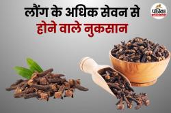 Clove Side Effects: गर्मियों में ज्यादा लौंग खाने से शरीर में हो सकती हैं ये
परेशानियां - image
