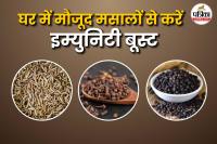 Immunity booster Powder cumin clove and pepper फोटो सोर्स – Freepik