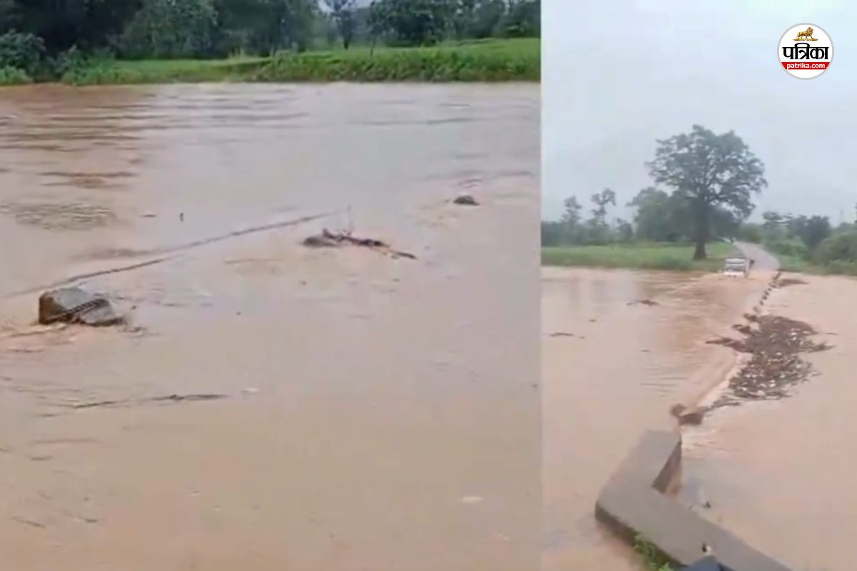 सरगुजा में भारी बारिश के बाद माननदी उफान पर, पुल से 3 फिट ऊपर बह रहा पानी, देखें Video