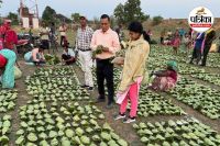 तेंदूपत्ता संग्राहक परिवारों को वितरित होगी चरण पादुका (Photo source- DPR)