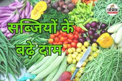मानसून में सब्जियों ने दिखाए तेवर! 30 फीसदी तक कीमतों में हुआ इजाफा, जानें
मिर्ची-टमाटर के भाव - image