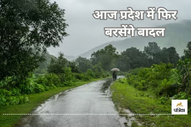 राजधानी सूखी, जिलों में भीगी धरती! (photo-unsplash)