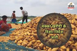 इथेनॉल निर्माण के लिए मक्का खरीदी के दिशा-निर्देश जारी, आवंटन के आधार पर होगी
व्यवस्था - image