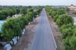 Rajsamand News: गर्मी से जंग का अचूक हथियार, दो लोगों ने बना दिया तीन किलोमीटर
का हरित कॉरिडोर - image