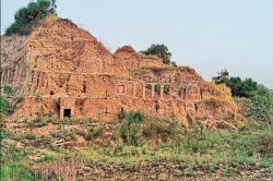 Dholpur News: डकैतों की फायरिंग रेंज में 45 शूटर्स ने लिया मौत के घाट उतारने का
प्रशिक्षण, एजीटीएफ ने यूं दबोचा - image