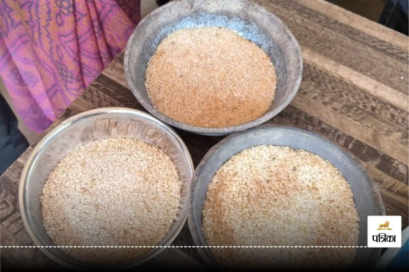 सड़ा चावल बांटा (फोटो सोर्स- पत्रिका)