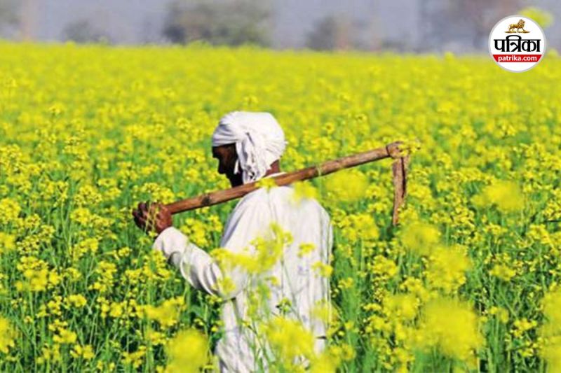 ऑयल पॉम प्लांटेशन अभियान की तैयारी शुरू (Photo source- AI)