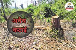 साल-सागौन की खुलेआम हो रही अवैध कटाई, मनमाने दामों पर सौदा कर कमा रहे तगड़ा
मुनाफा, वन विभाग मौन - image