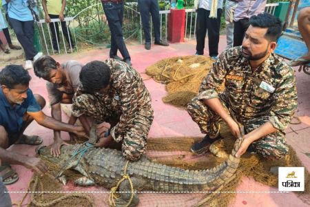 World Crocodile Day: क्रोकोडाइल पार्क में सैलानियों की भीड़, गांवों में मगरमच्छ असुरक्षित(photo-patrika)