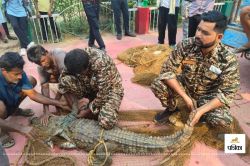 World Crocodile Day: क्रोकोडाइल पार्क में सैलानियों की भीड़, गांवों में मगरमच्छ
असुरक्षित - image