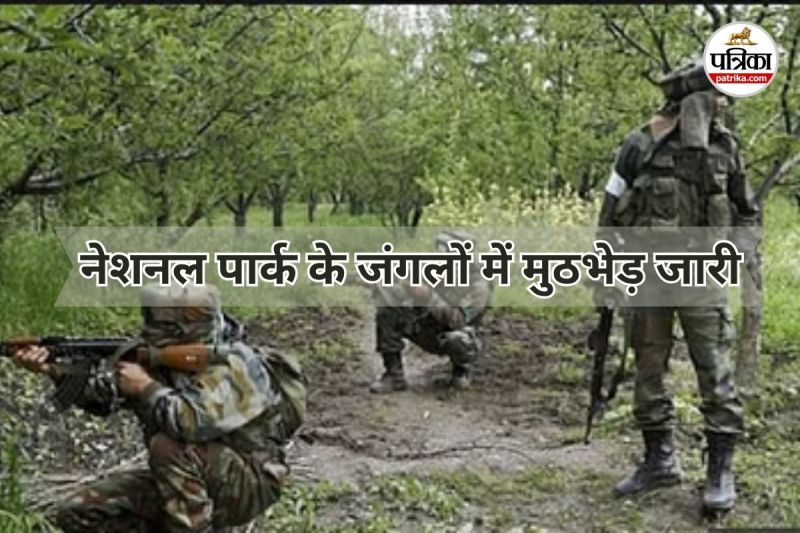 नेशनल पार्क के जंगलों में मुठभेड़ जारी (Photo source- Patrika)