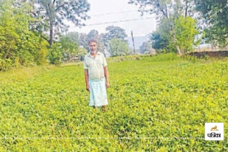 खाद के लिए भटक रहे किसान (photo-patrika)