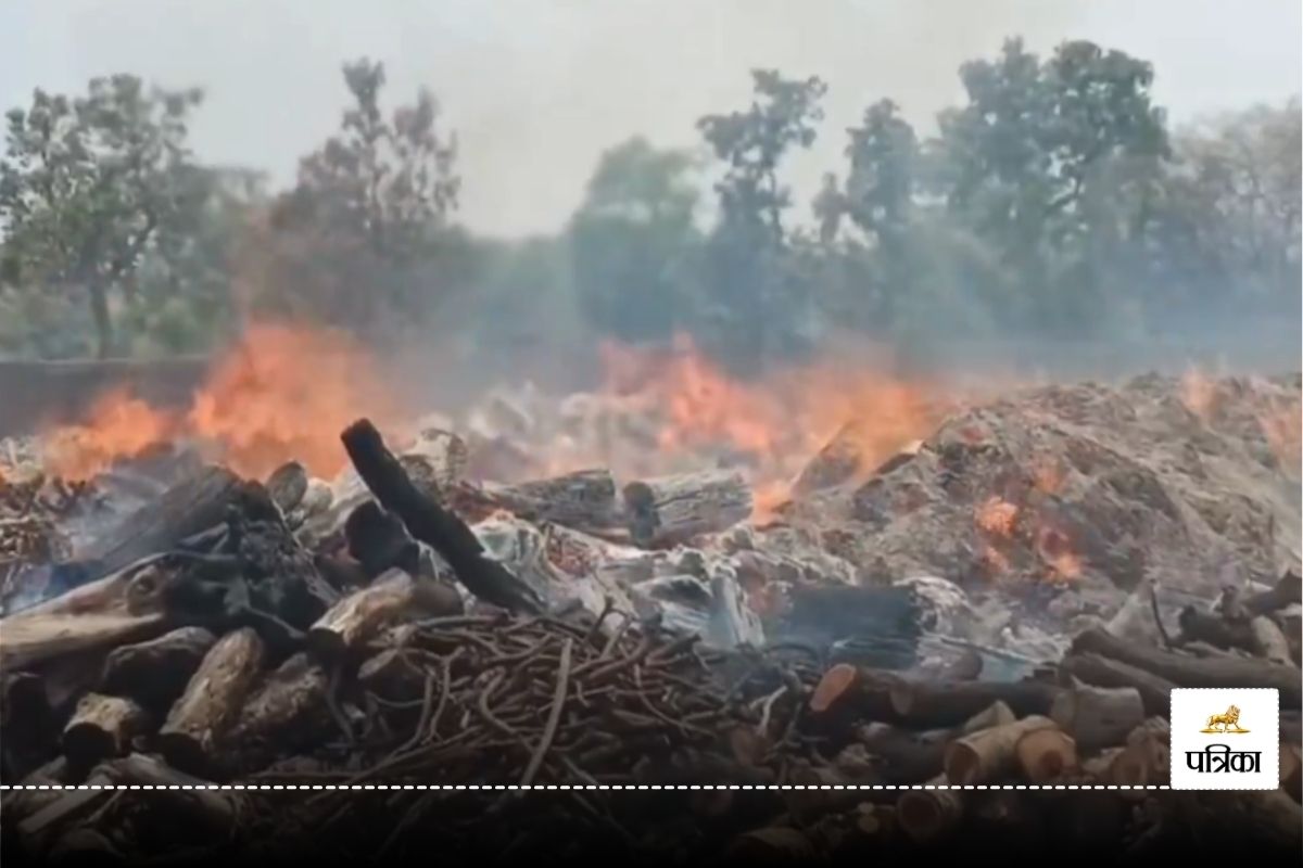 Fire News: भाटापारा में बायोमास प्लांट में लगी भीषण आग, इलाके में मचा हड़कंप,
देखें Video