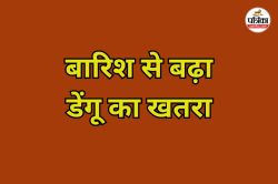 बारिश से बढ़ा डेंगू का खतरा, शहरी इलाके में मिले सबसे अधिक पॉजिटिव, अलर्ट मोड पर
स्वास्थ्य विभाग - image