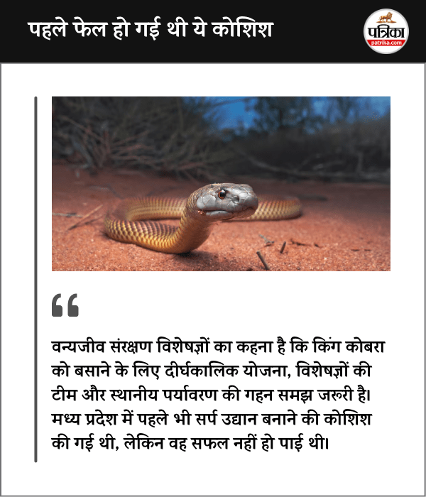 Snake Park Project MP