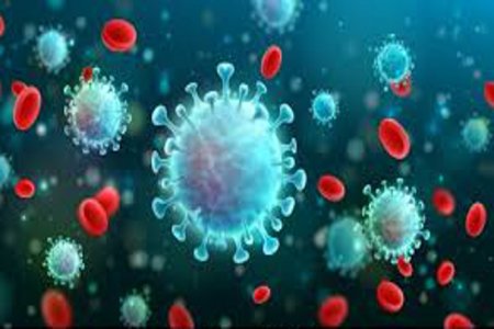 Covid-19: Infection rate nears 7%, 14 new cases confirmed