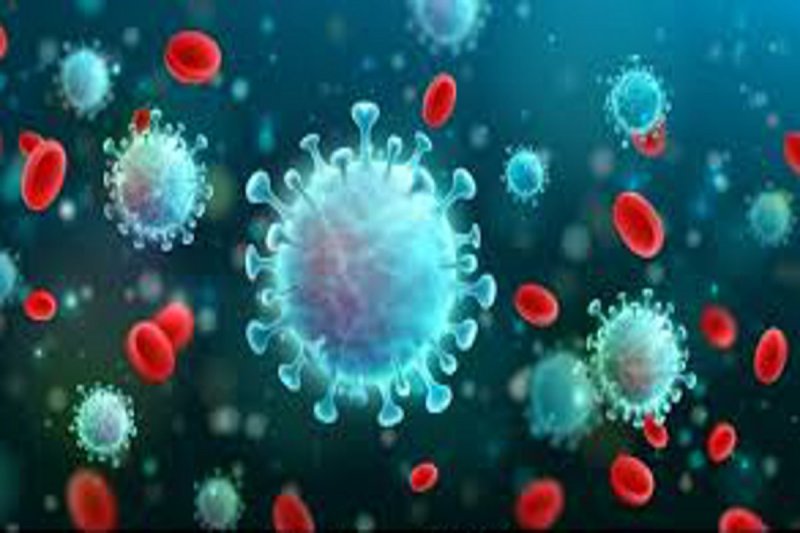 Covid-19: Infection rate nears 7%, 14 new cases confirmed