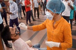 Covid-19 Update: लगातार दूसरे दिन एक्टिव केस में गिरावट, एक दिन में 11 लोगों की
गई जान - image
