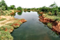 Nagaur patrika…सीवरेज ट्रीटमेंट प्लांट का पानी सैंकड़ो बीघा भूमि को निगलने के
साथ भूजल को बना रहा जहरीला - image