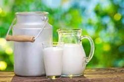 भीलवाड़ा डेयरी देगी पशुपालकों को 2 रुपए प्रति लीटर अतिरिक्त राशि - image
