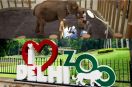 Delhi Zoo collaborate with Vantara Forces For Wildlife Welfare
