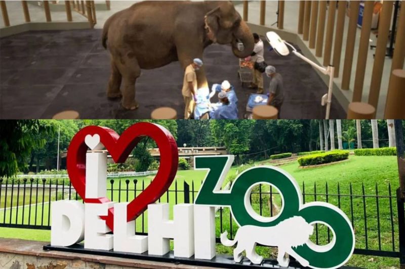 Delhi Zoo collaborate with Vantara Forces For Wildlife Welfare