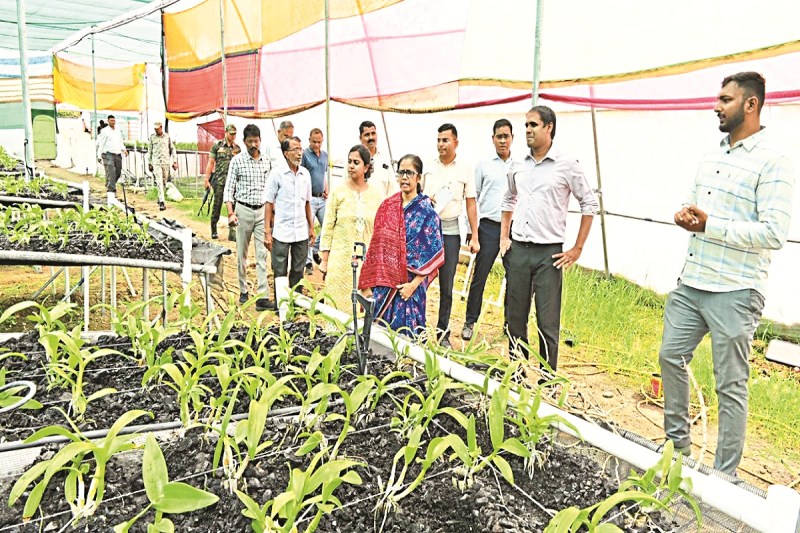 हवा में ऑर्किड की खेती कर रहा पुष्पक (Photo source- Patrika)