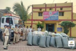 DODA smuggling: Video: छत्तीसगढ़-यूपी बॉर्डर पर पुलिस ने ली ट्रक की तलाशी, निकला
14.44 क्विंटल डोडा, कीमत है 1.30 करोड़ रुपए - image