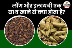 Laung Elaichi Khane Ke Fayde: डाइजेशन से लेकर इम्यूनिटी तक, लौंग और इलायची का
सेवन करने से मिल सकते हैं कई स्वास्थ्य लाभ - image