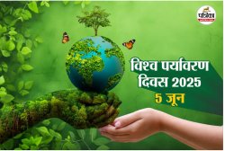 देश में बढ़ रही हरियाली, 12 साल में 16 हजार वर्ग किमी वन क्षेत्र में इजाफा - image