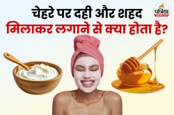 Curd Honey Face Mask: दही और शहद, रूखी त्वचा के लिए नेचुरल ग्लो का सीक्रेट
फार्मूला - image