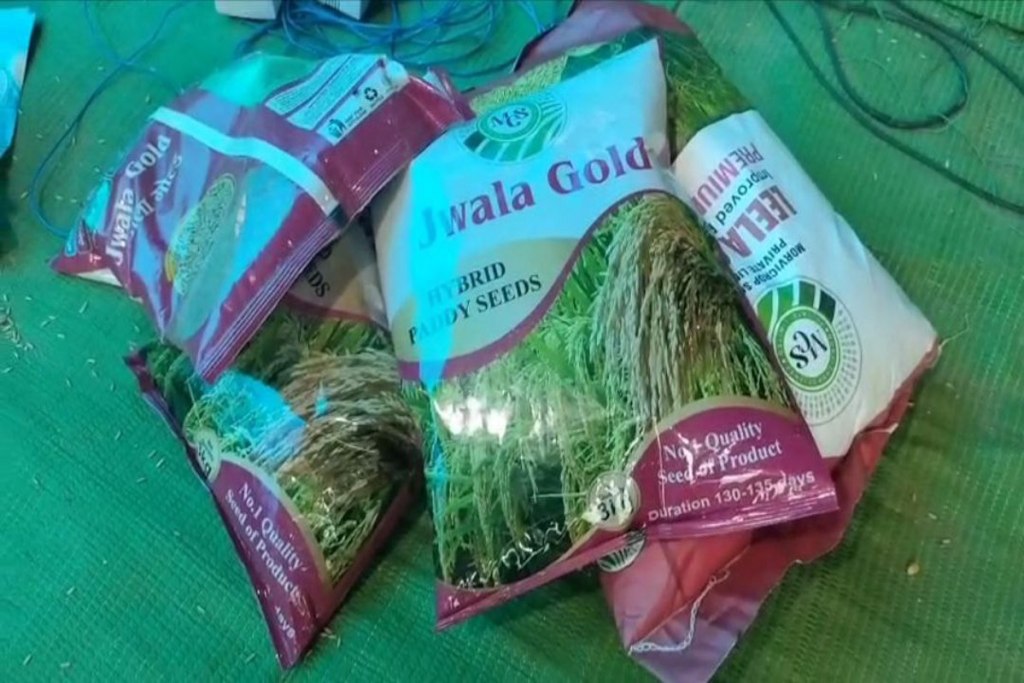 Fake seeds