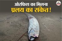 Oarfish found at Tamil Nadu