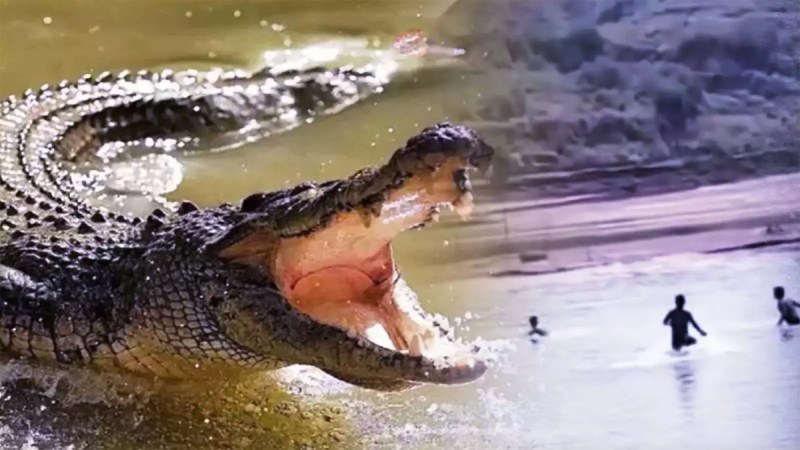 Friends saved young man life from crocodile in Agra