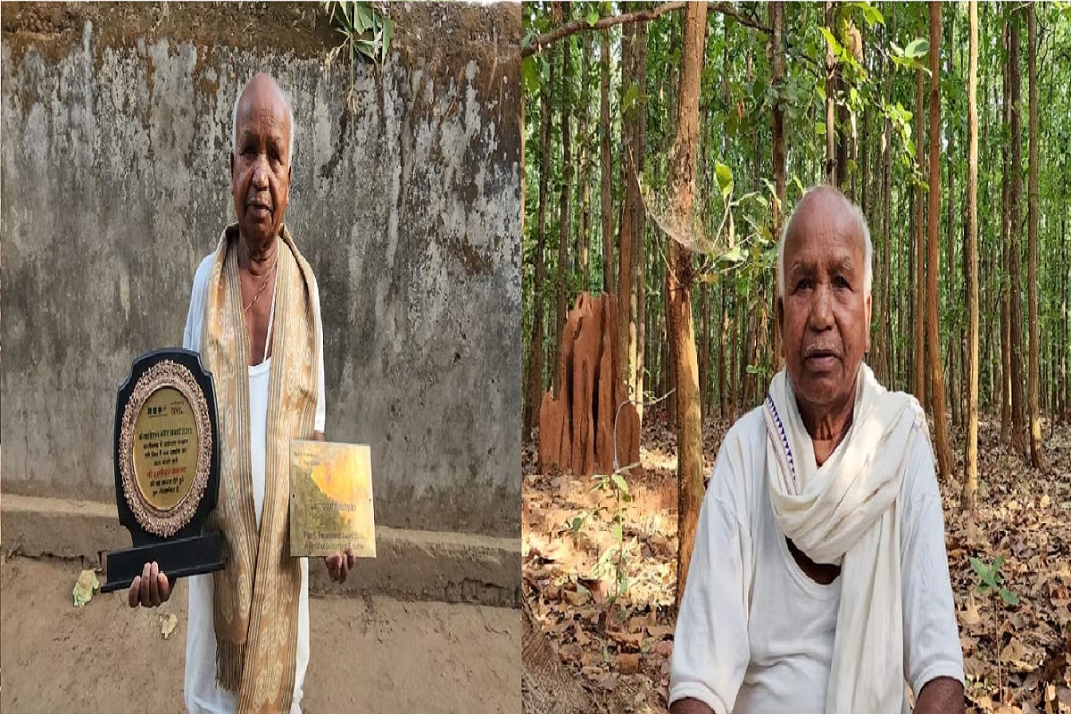 World Environment Day: बस्तर के दामोदर ने बनाया 400 एकड़ का जंगल, अपनी अनोखी तरकीब से बचाया पर्यावरण