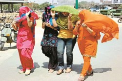भीषण गर्मी का Comeback… हीट स्ट्रोक के शिकार बन रहे लोग, आइस्क्रीम पार्लर और जूस
सेंटरों में दिख रही भीड़ - image