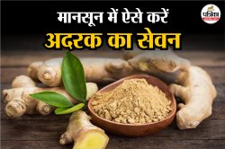 Ginger Benefits in Monsoon: मानसून में सेहत को हेल्दी रखने ऐसे करें अदरक का
सेवन, दूर होंगी ये 3 समस्याएं - image
