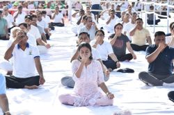 अलवर में उत्साह के साथ मनाया योग दिवस, जिले भर में कार्यक्रम आयोजित - image