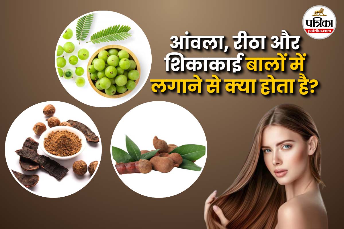 Amla Reetha Shikakai for Hair: बालों के झड़ने से लेकर डैंड्रफ तक, आजमाएं आंवला,
रीठा और शिकाकाई का घरेलू नुस्खा