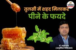 Tulsi And Honey Benefits: पाचन से लेकर इम्युनिटी तक, जानें आयुर्वेदिक डॉक्टर से
तुलसी और शहद के मिश्रण के 5 फायदे - image