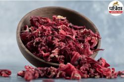 Hibiscus Flower For Dry Hair: सूखे गुड़हल के फूलों से पाएं ड्राई बालों से राहत,
जानें कैसे करें इस्तेमाल - image