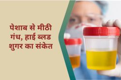 High Blood Sugar : क्या मीठी गंध वाला पेशाब हाई ब्लड शुगर का संकेत है? जानिए - image