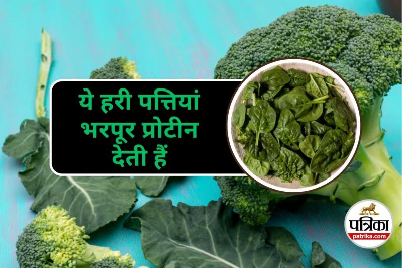 High Protein Leafy Vegetables