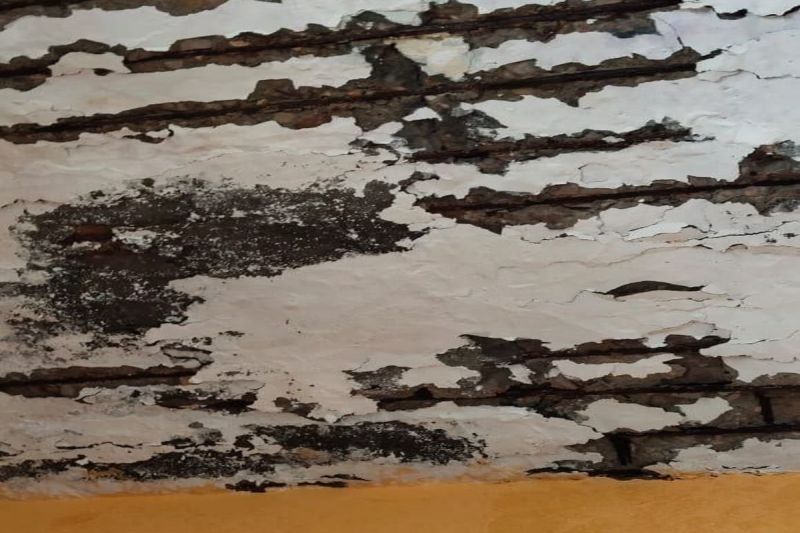 जिम्मेदार बेखबर, अस्पताल की छत गिरने के कगार पर